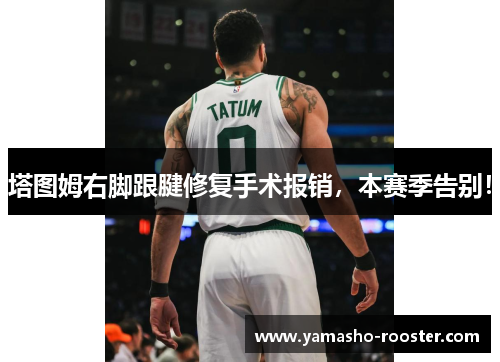 塔图姆右脚跟腱修复手术报销，本赛季告别！
