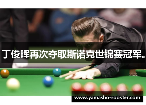 丁俊晖再次夺取斯诺克世锦赛冠军。