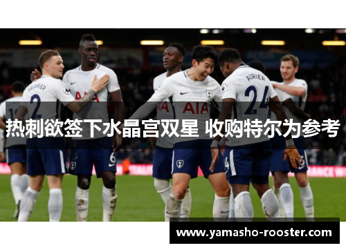 热刺欲签下水晶宫双星 收购特尔为参考