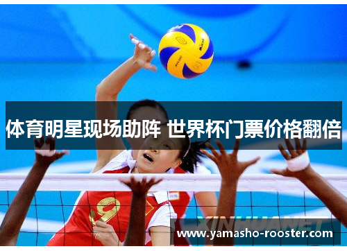 体育明星现场助阵 世界杯门票价格翻倍